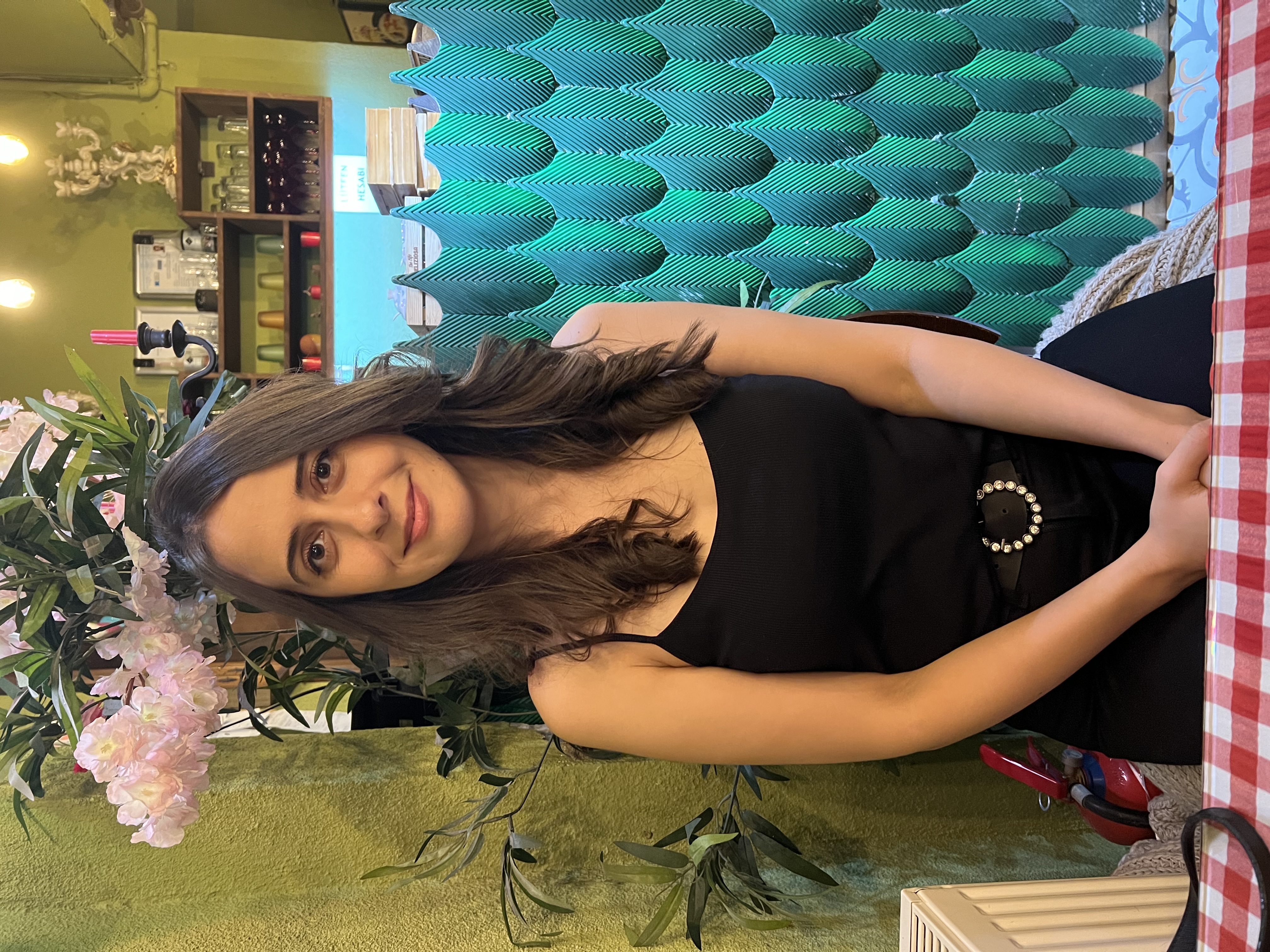 Hasine Taşdelen